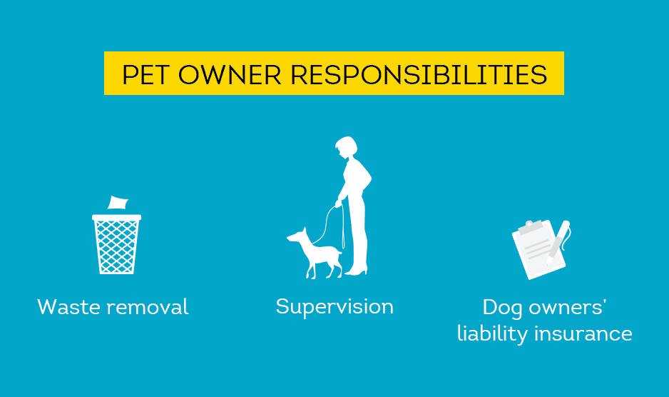 pet owner responsibilities