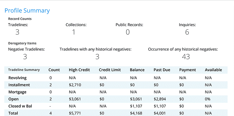 Consumer credit report profile