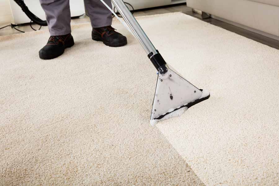 cleaning the carpet to neutralize cigarette odor 