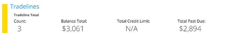 How to Read a Credit Report for Landlord Tenant Screening | SmartMove