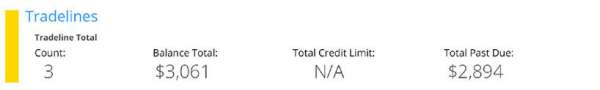 How to Read a Credit Report for Landlord Tenant Screening | SmartMove