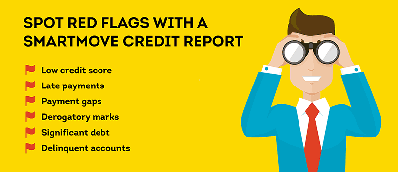 Credit report potential red flags