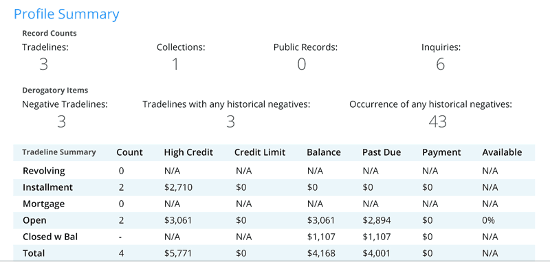 SmartMove credit report showing tradeline summary