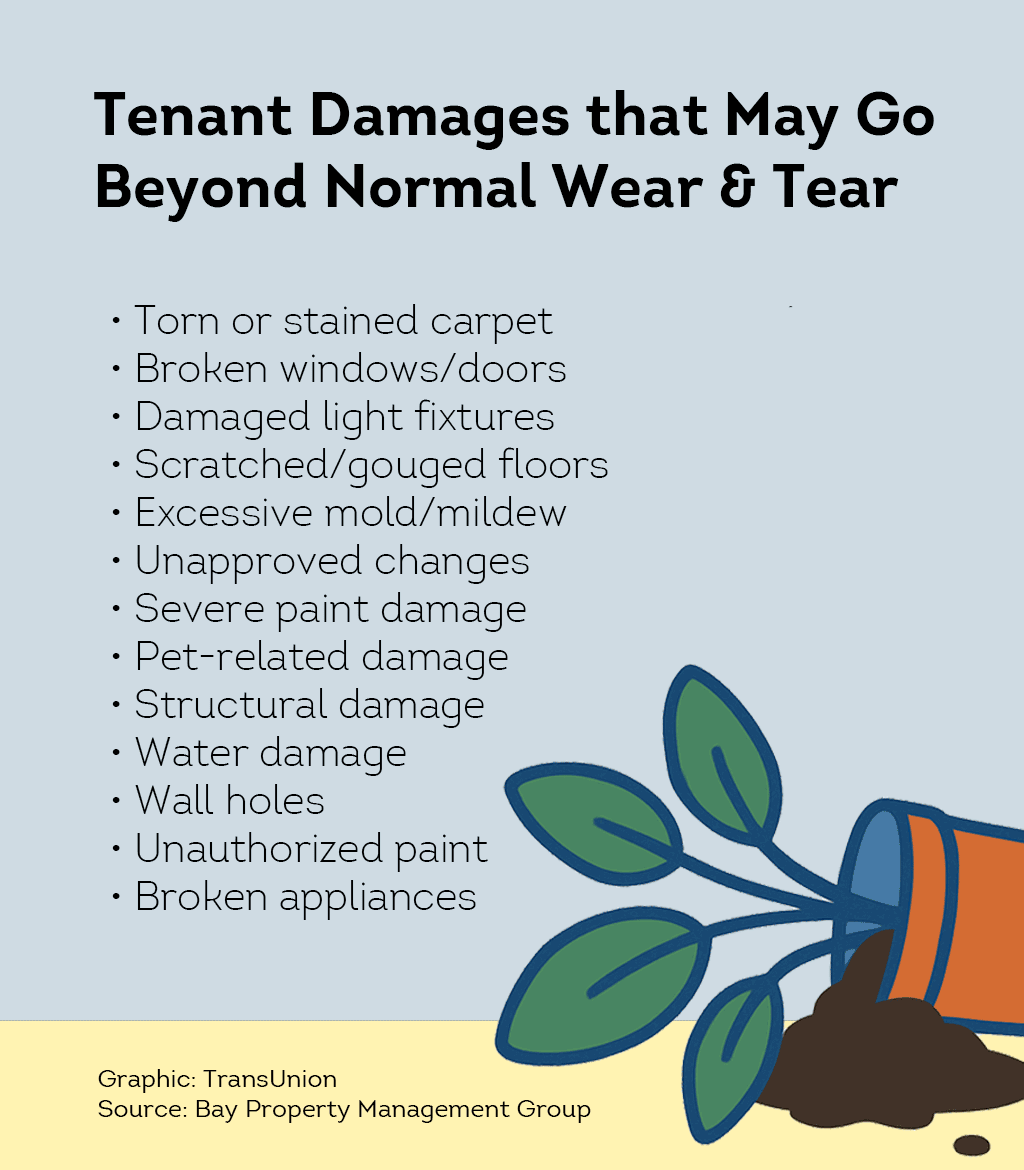 Tenant-caused damage beyond wear and tear — holes, stains, broken fixtures, pet damage, water issues