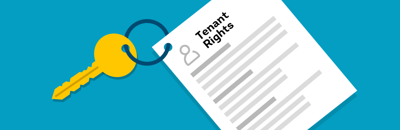 tenant rights during a rental background check