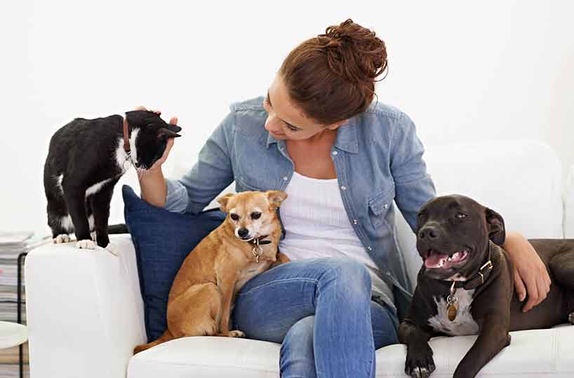 how to screen renters who have pets