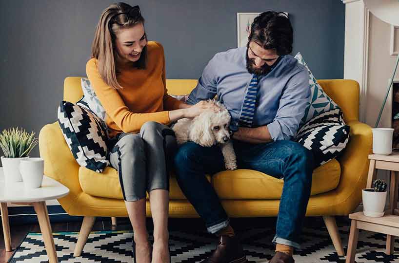Pros to allowing pets in rental properties